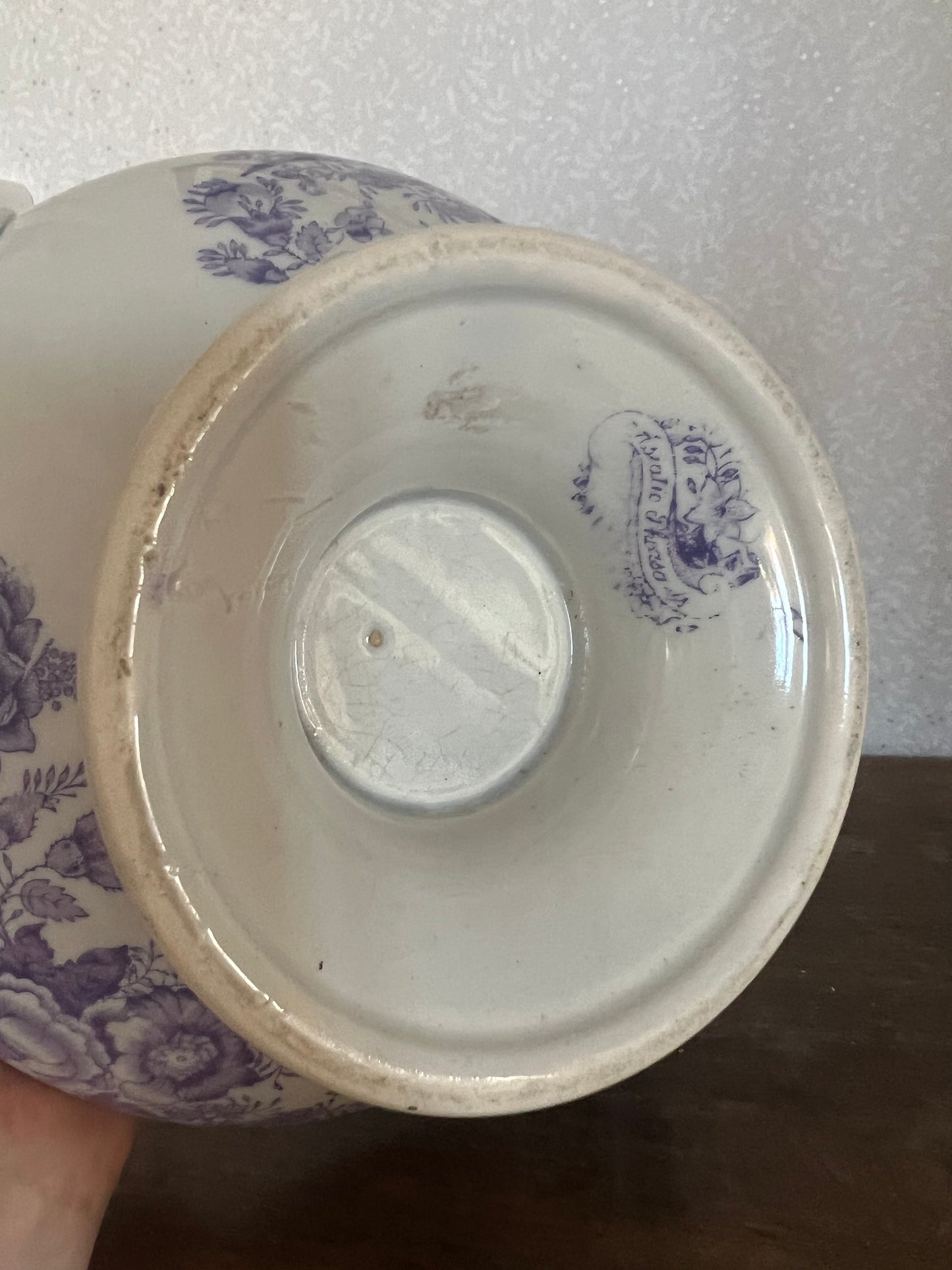 Terrin lila fasan Asiatic Pheasants