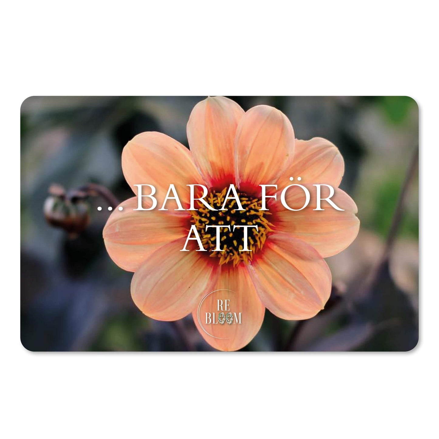 BARA FÖR ATT
