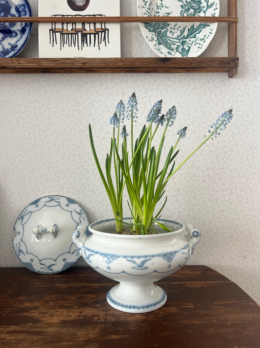 Soppterrin Gustafsberg Öresund