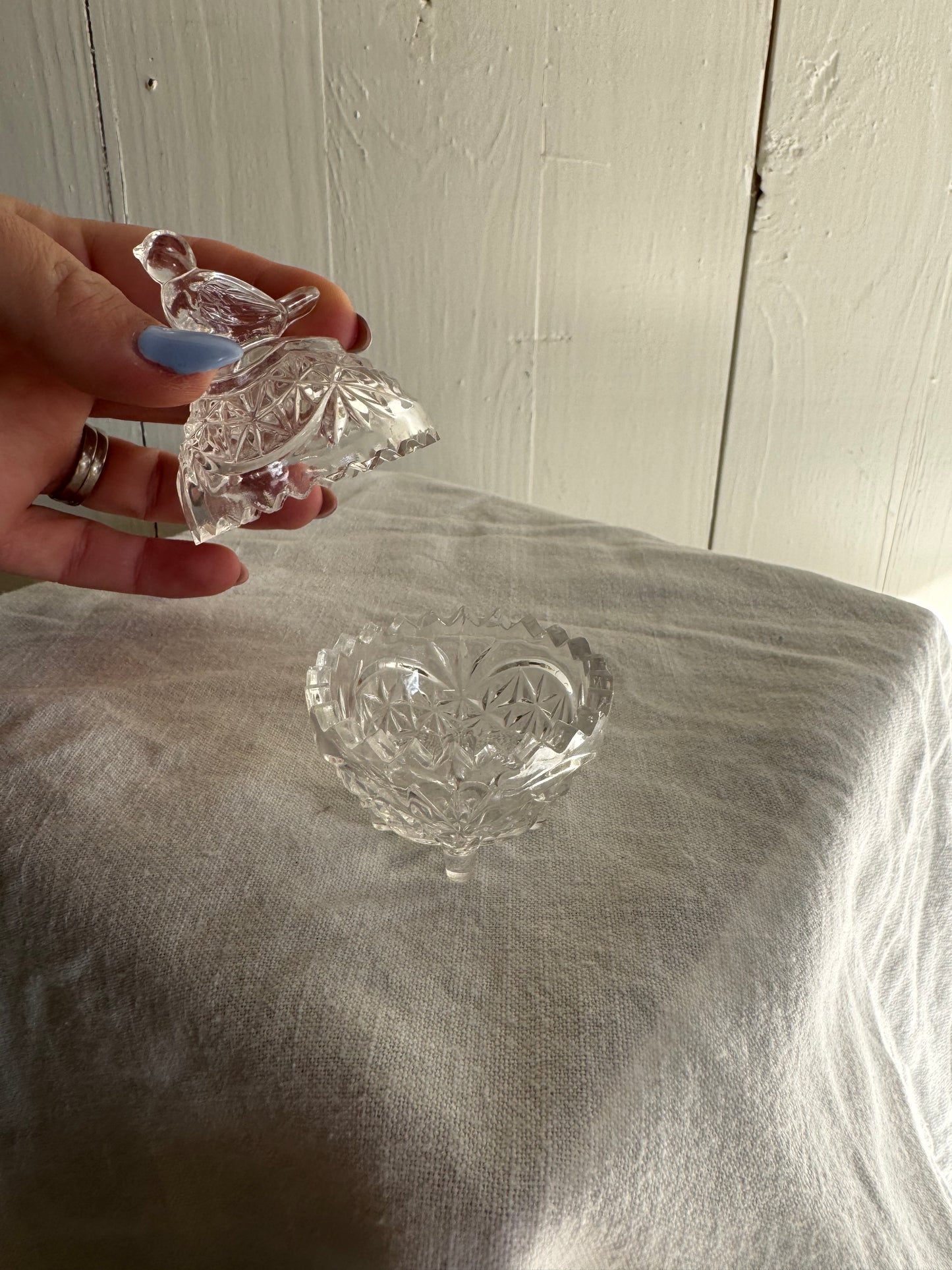 Saltskål på fot i glas med fågel