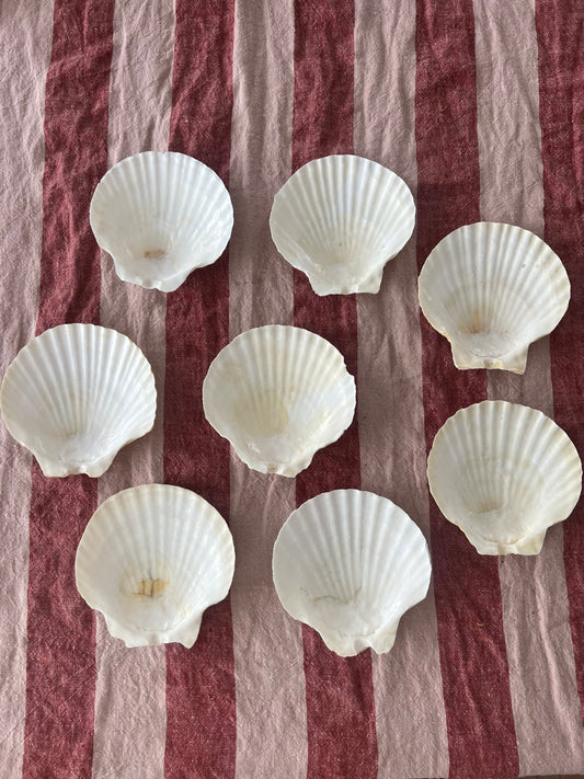 8st snäckskalfat till förrätten?