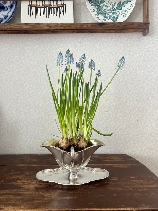 Såssnipa med hänklar i nysilver