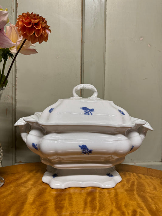 Soppterrin BLÅ BLOM 1900-tal