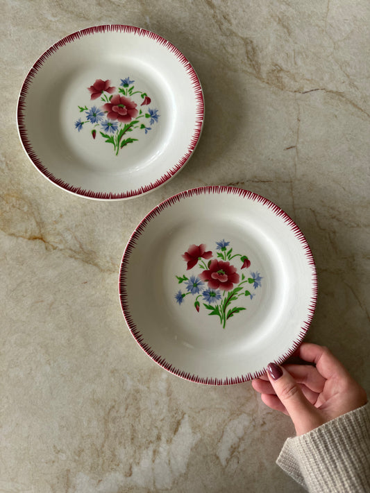 Paret franska tallrikar