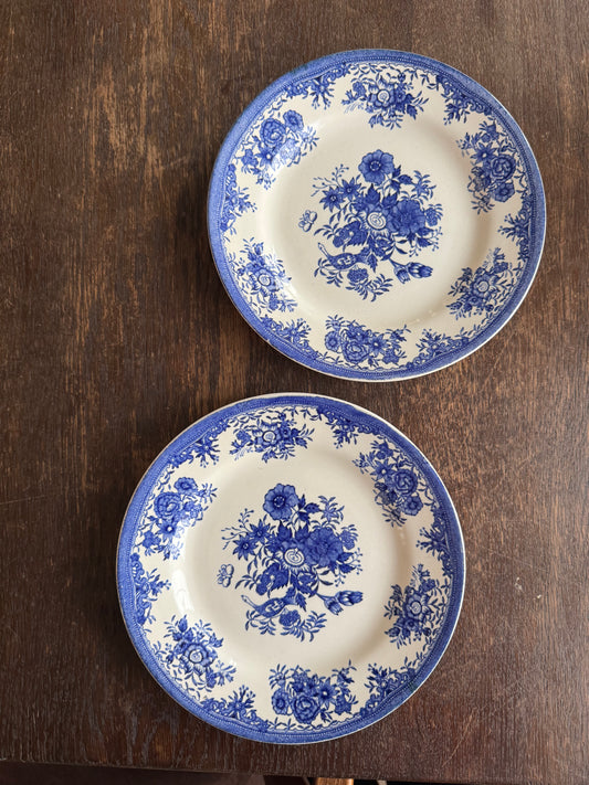 Paret assietter i blåvitt, Egersund Norway