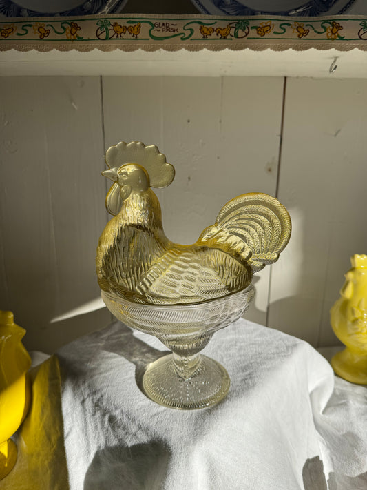 Äggömma tupp på fot