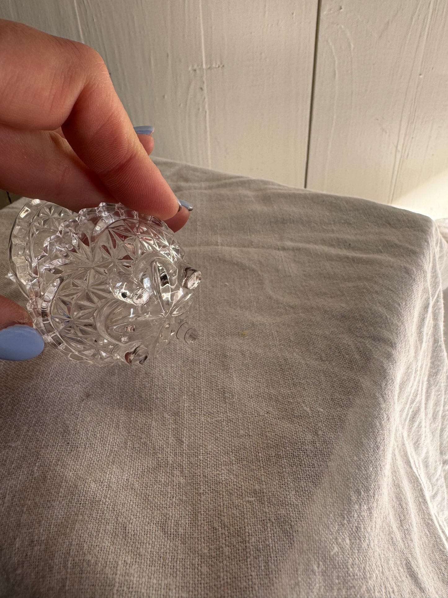 Saltskål på fot i glas med fågel