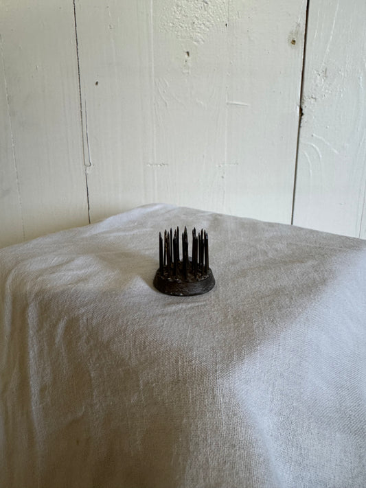 Äldre blomsterfakir piggar