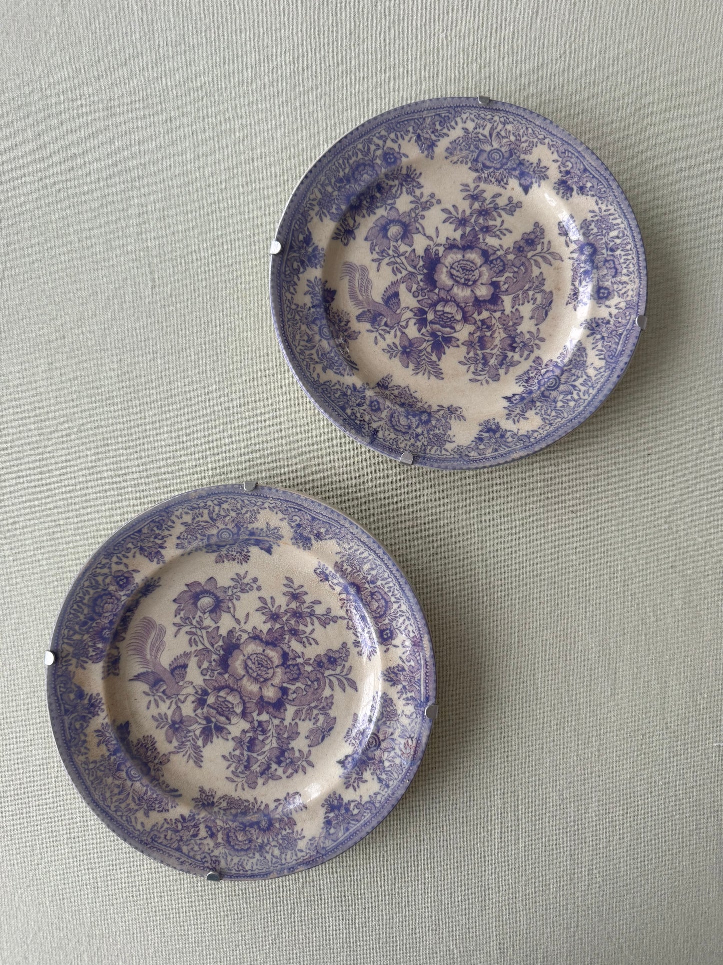 Paret lila fasan assietter