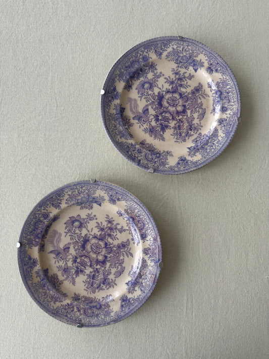 Paret lila fasan assietter