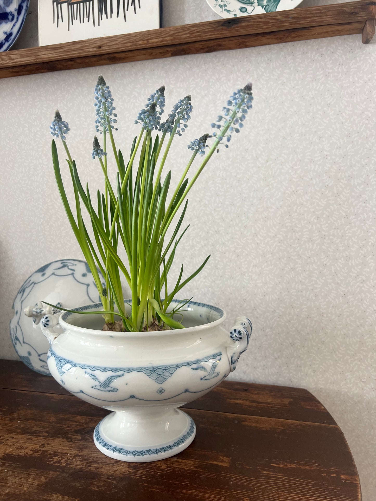 Soppterrin Gustafsberg Öresund