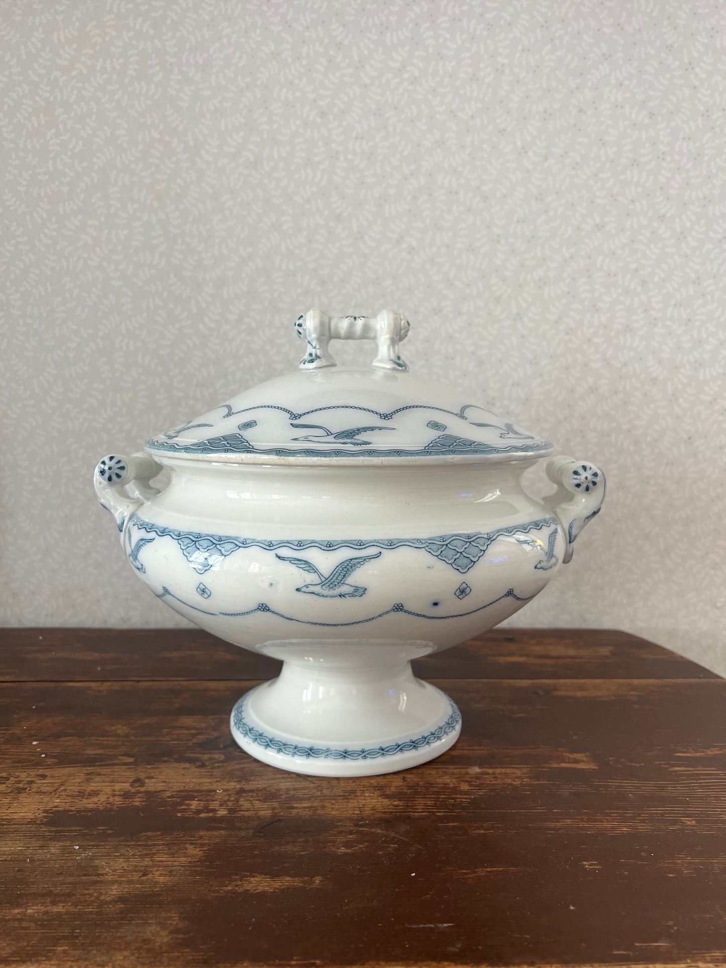 Soppterrin Gustafsberg Öresund