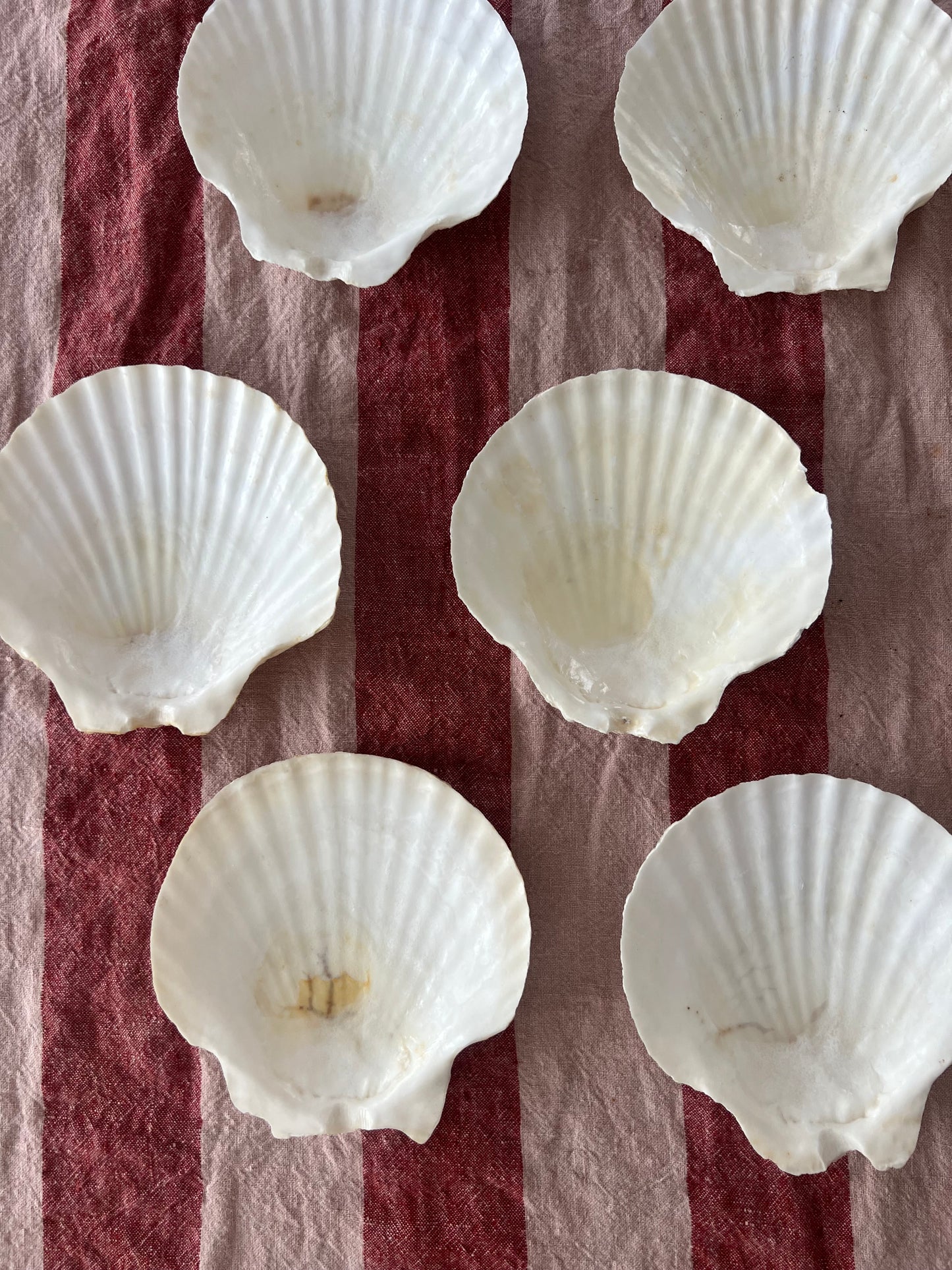 8st snäckskalfat till förrätten?