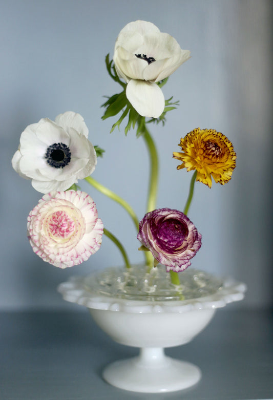 Stor blomsterfakir i glas med skål