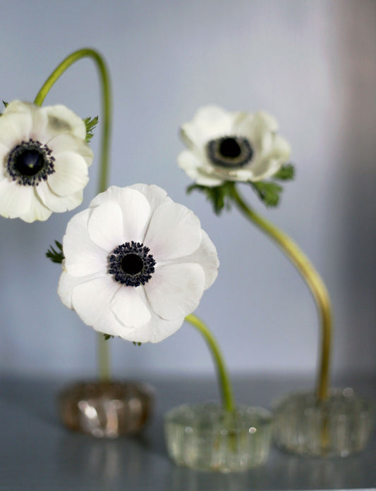 En blomsterfakir i brunt glas - Ikebana