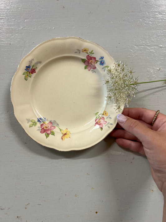 Assiett - Record Svenskt Fabriakt