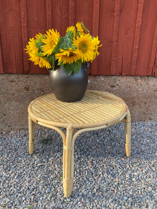 Rotting/bambu utebord