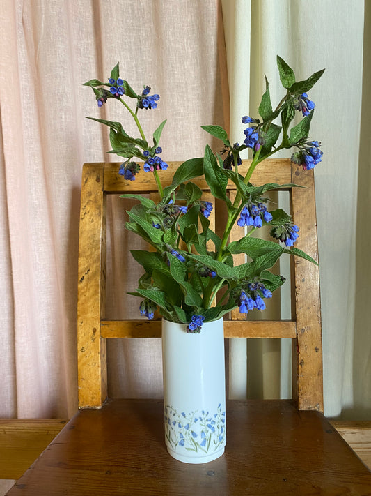 Vas - Blåklocka Hackefors