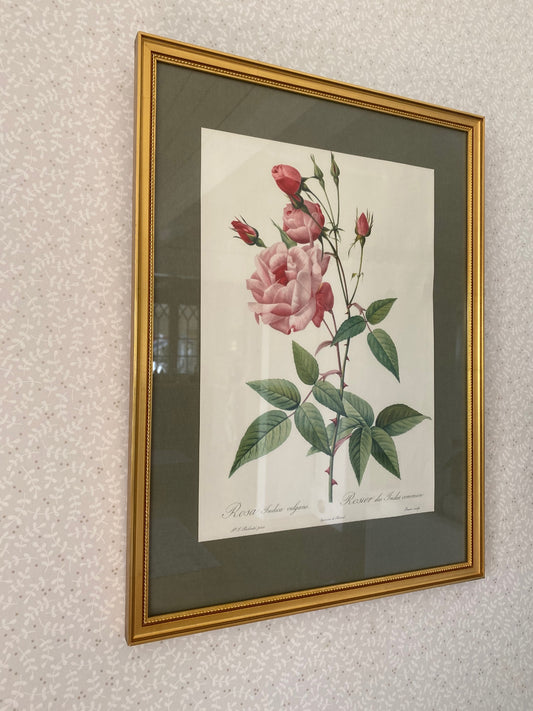 Rostavla - ljusrosa med knoppar