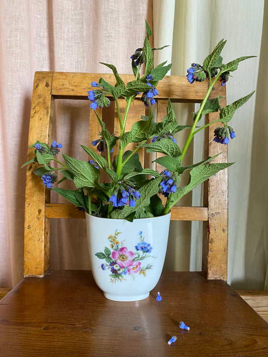 Vas - sommarblommor Rosenthal