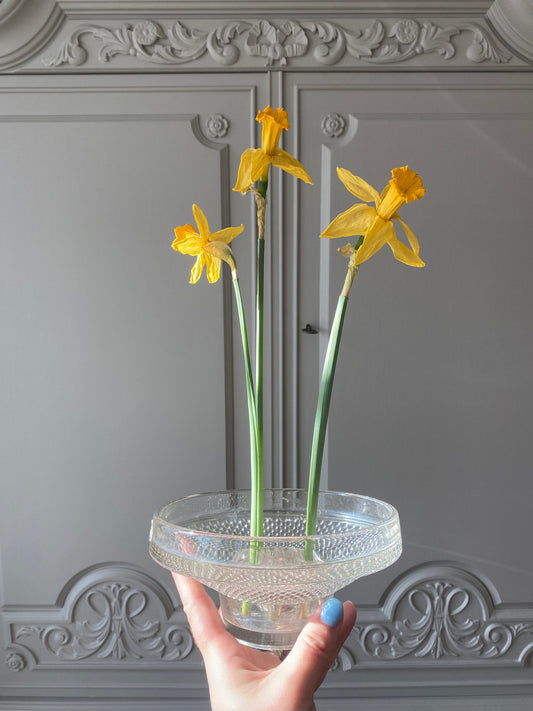 Blomsterfakir i glas med tillhörande skål