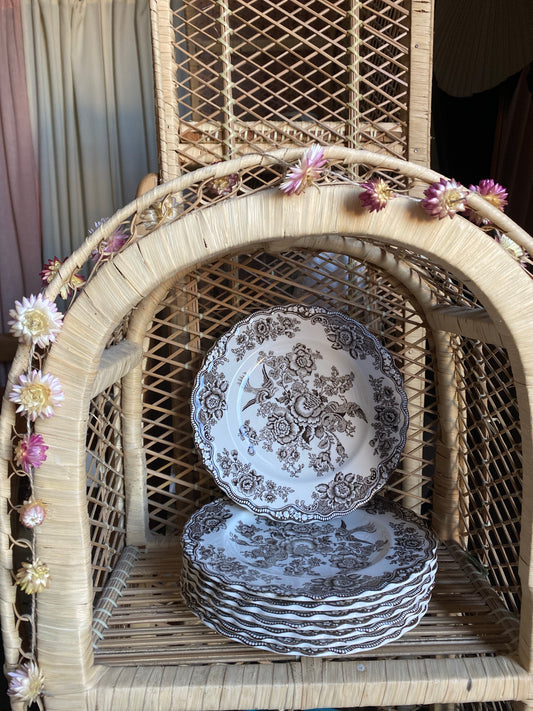 Assiett i brunvitt - Bristol Engelskt porslin 8st i lager!