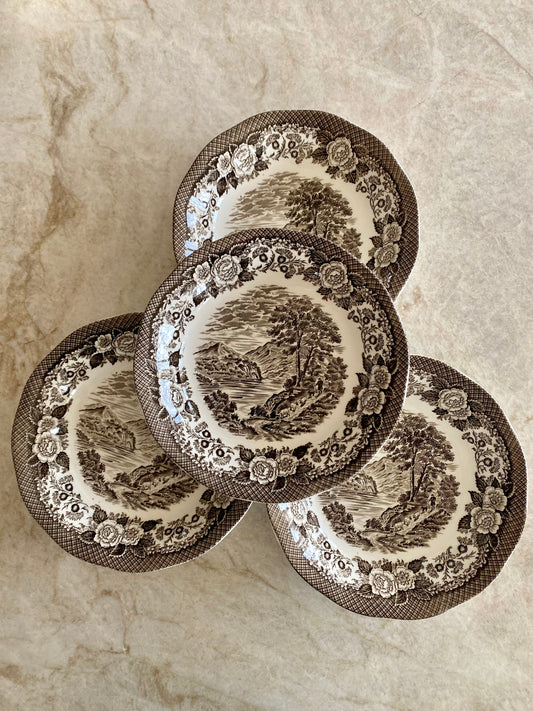 4st vackra brun/vita tallrikar