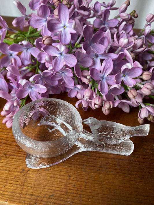 Saltkar fågel - Lindshammar