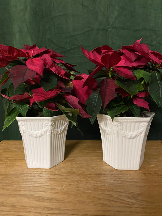 Paret vita porslinskrukor ~ Gustavsberg Empire