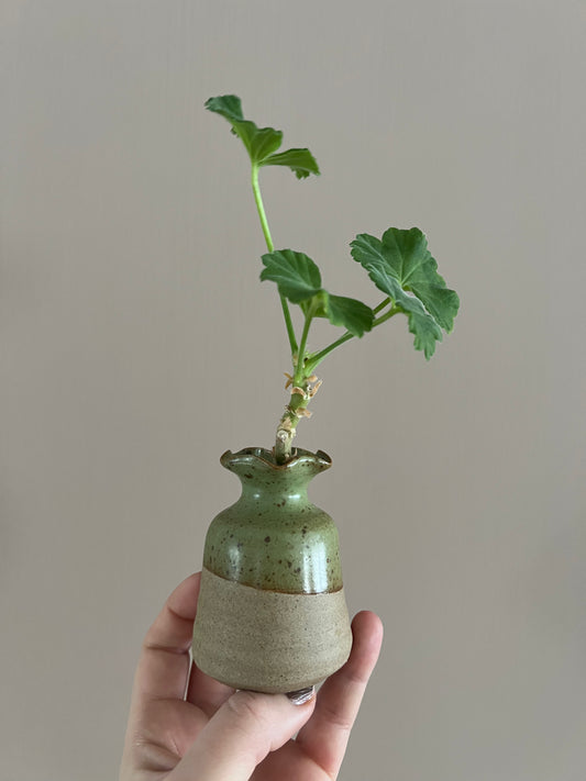 Sticklingvas i keramik