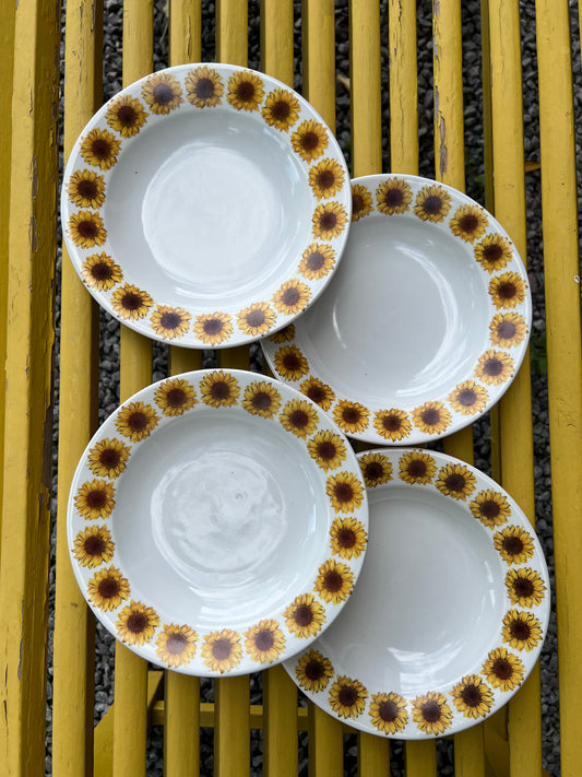 4st djupa solrostallrikar