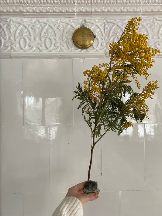 Äldre blomsterfakir