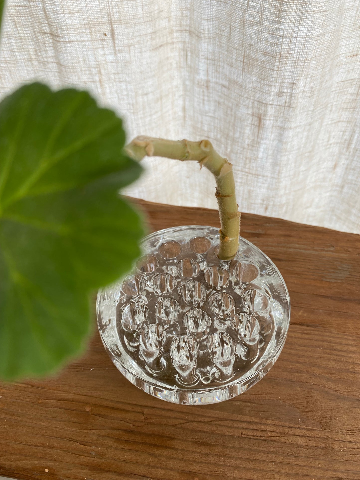 Stor blomsterfakir i klarglas - Ikebana