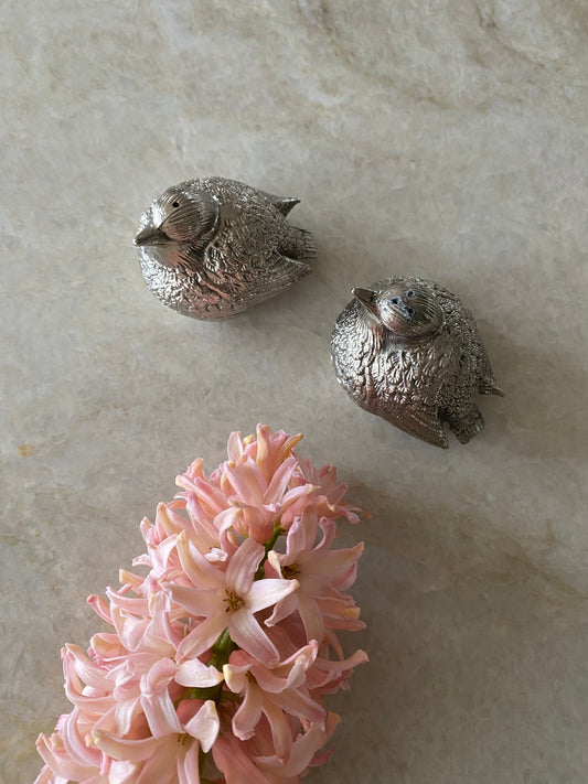 Salt och pepparströare - fåglar