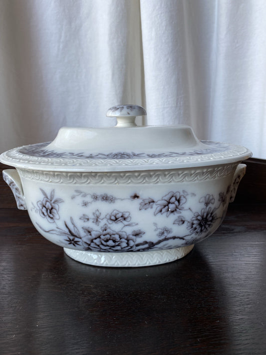 Vacker stor soppterrin ~ Gefle Stjärnsund