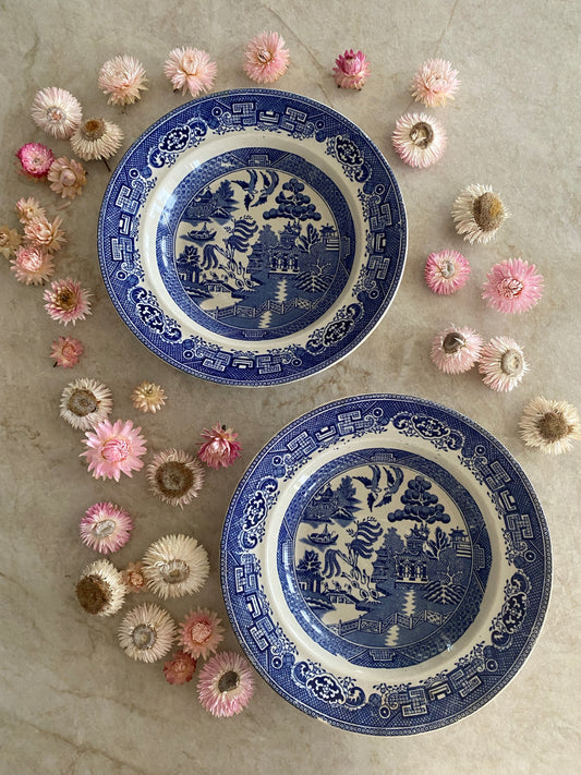 Paret blåvita djupa tallrikar - WILLOW Gustavsberg