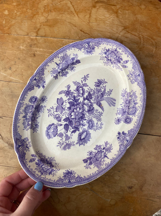 Uppläggningsfat - Asiatic pheasants