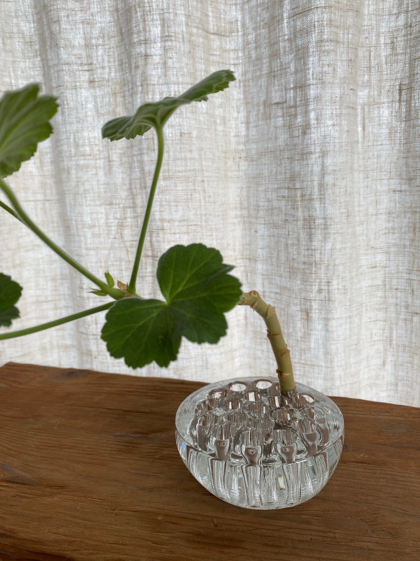 Stor blomsterfakir i klarglas - Ikebana