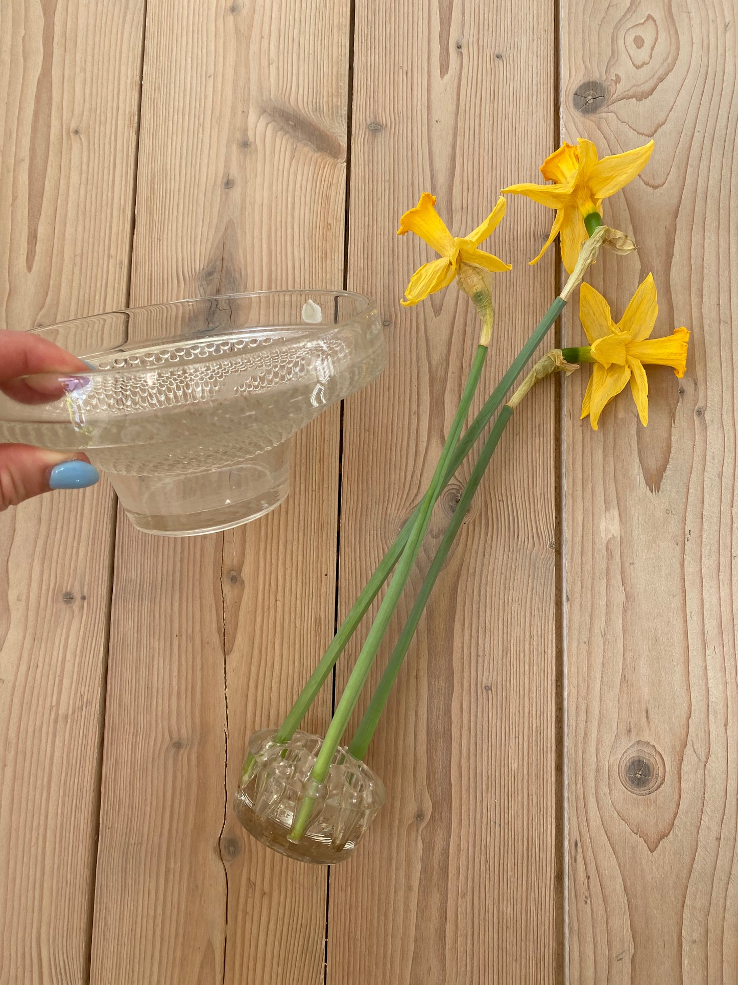 Blomsterfakir i glas med tillhörande skål