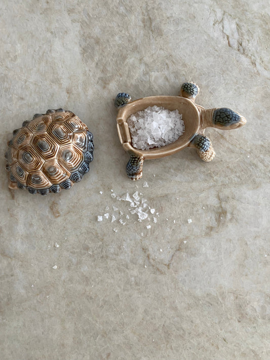 Porslinssköldpadda för lite flingsalt?