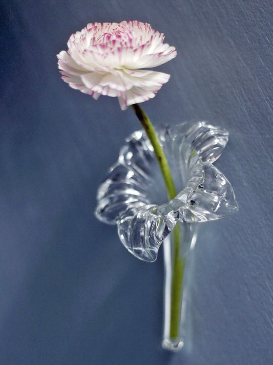 Triss i snittblomhållare glas