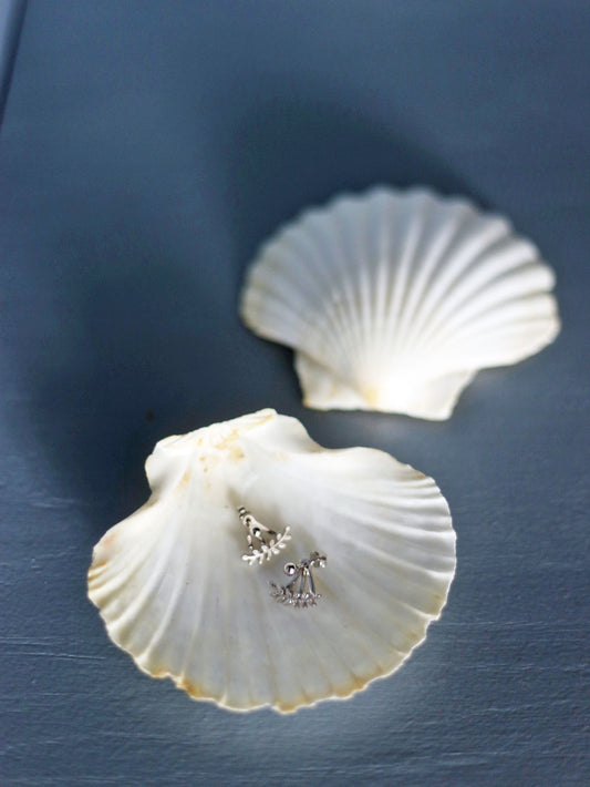 Två vackra snäckfat