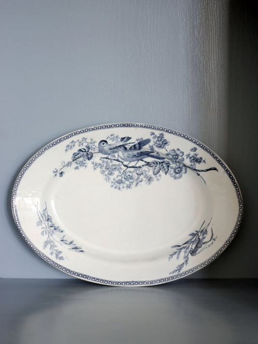 Stort, ovalt uppläggningsfat i blå/vitt - GUSTAFSBERG WEXIÖ